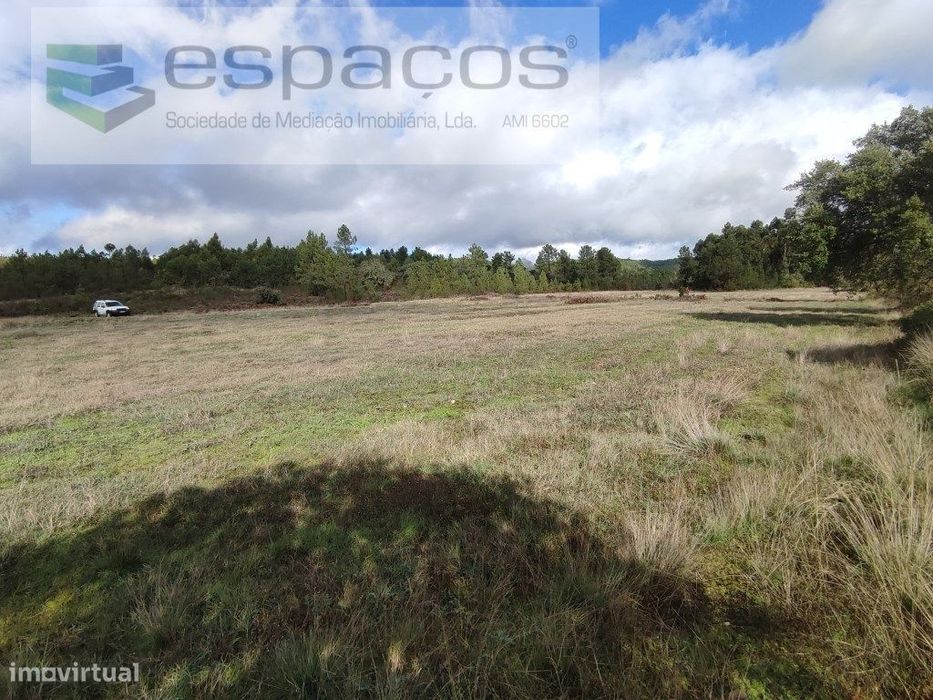 Terreno rústico a confinar com pequeno ribeiro - Sarzedas