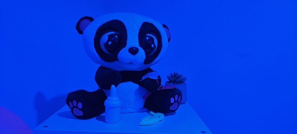 Panda interaktywna