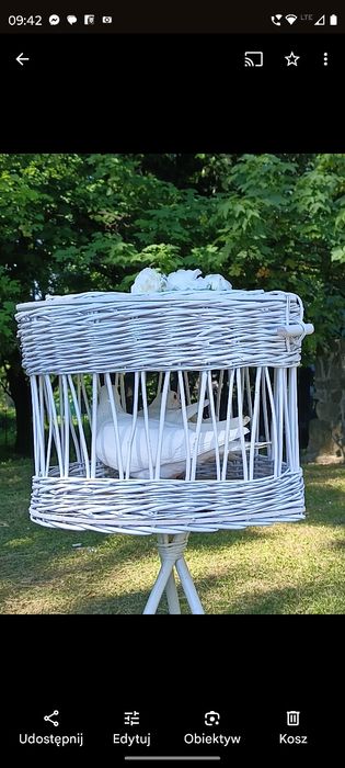 Białe gołębie na ślub