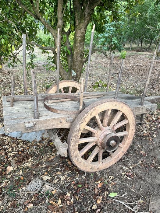 Carro de Bois antigo