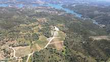 Terreno localizado na Serra, Tomar