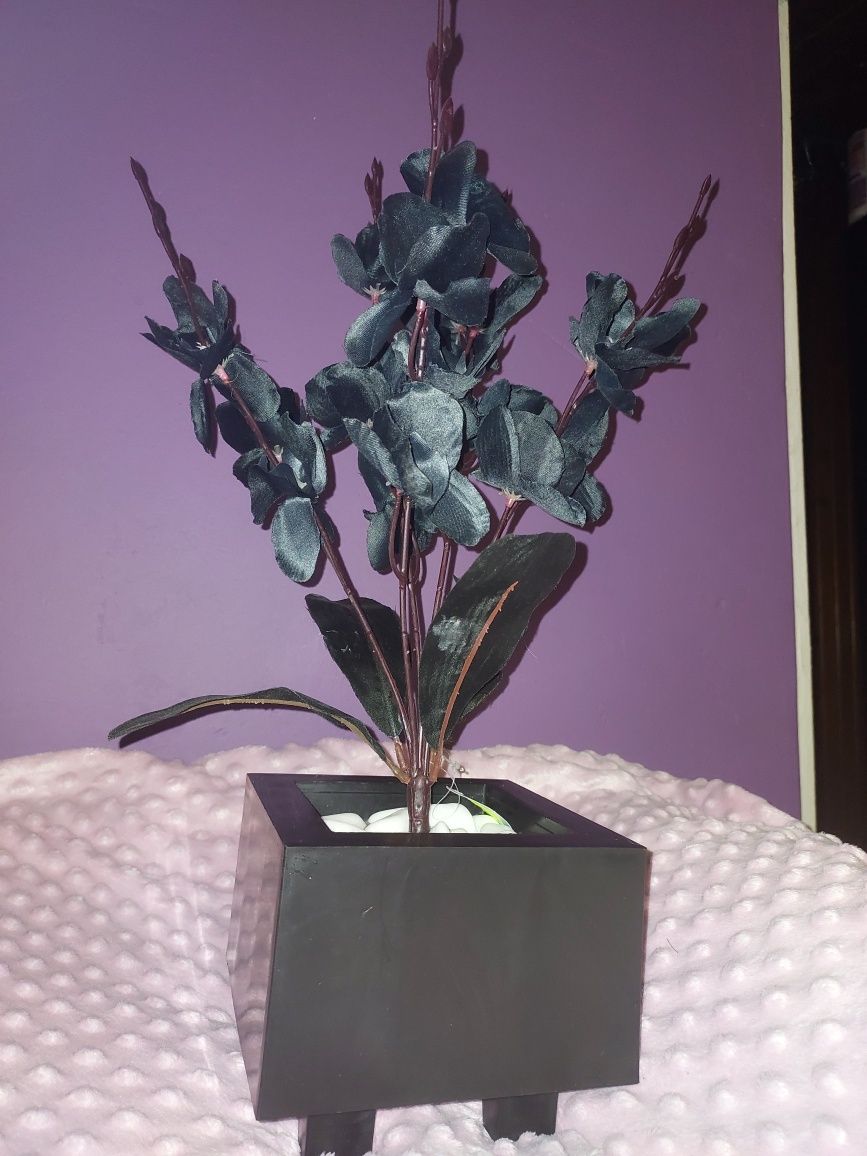 Nowy czarny storczyk pięcio-pędowy orchidea kwiaty sztuczne