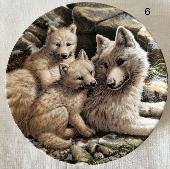 Колекція вінтажних тарілок Краса полярної дикої природи.