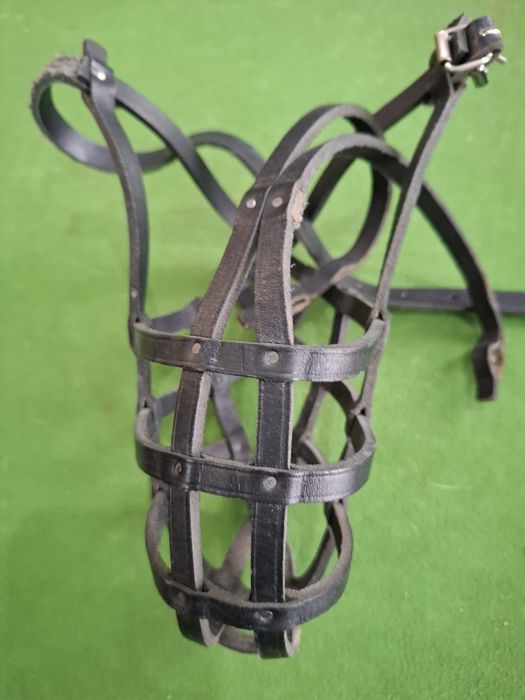 Karma dla psa + gratisy