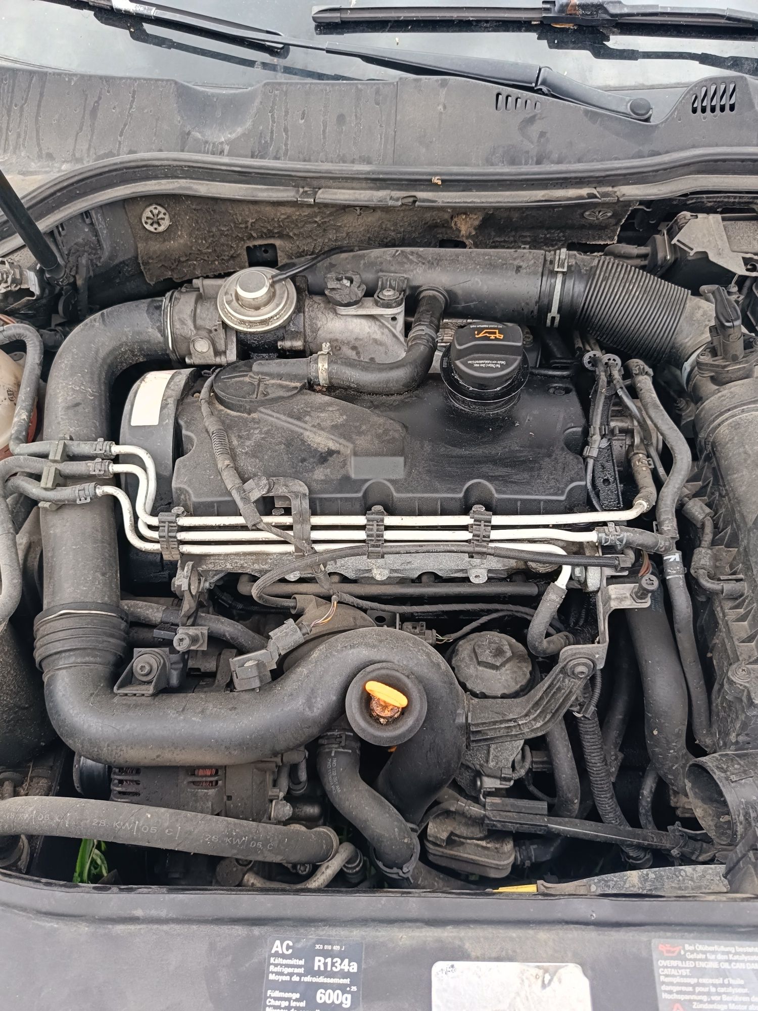 Silnik 1,9tdi bkc passat b6