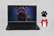 Сенсорний 15.6 Lenovo ThinkPad T590 i5-8365U 16/40 256/512/1тб Ноутбук