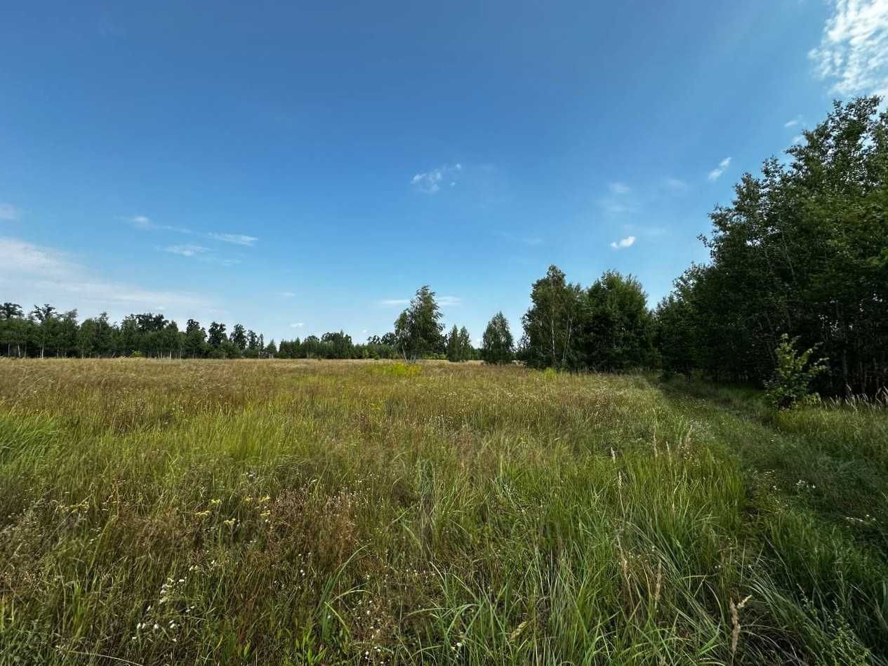 Продаж ділянки 201 сотка (ОСГ). Біля лісу. Озеро - 1км. ID:735