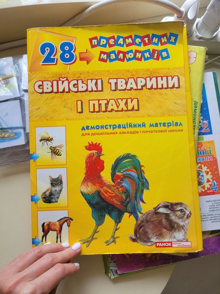 Карточки домана. Демонстраційний матеріал для ДНЗ