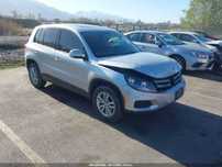 2013 Volkswagen TIGUAN S