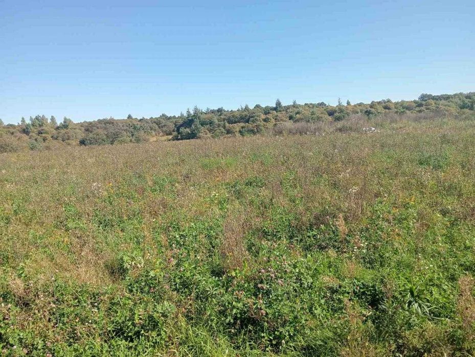 Продаж земельної ділянки, ОСГ, Сокільники