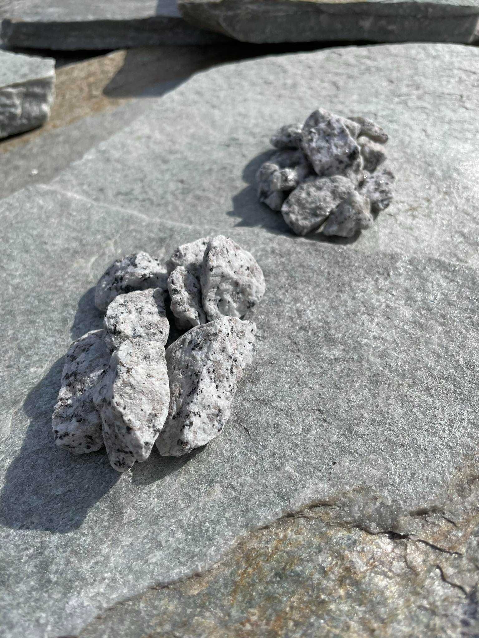 Grys Granitowy DALMATYŃCZYK Kamień do Ogrodu Akwarium Podjazd Opaska