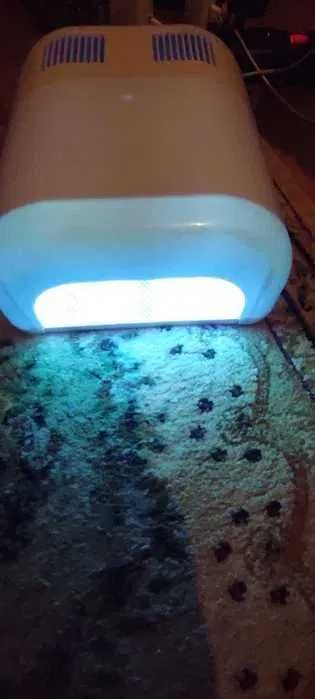 lampa do paznokci