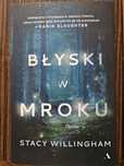 Książka,,Błyski w mroku" Stacy Willingham