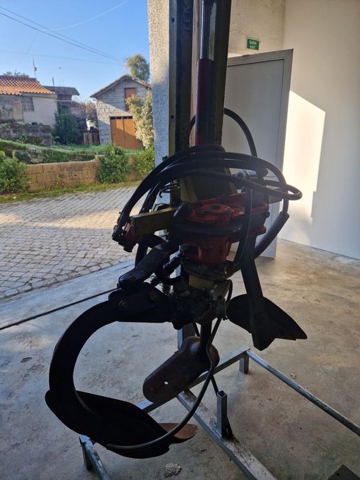 Intercepas ventral Clemens