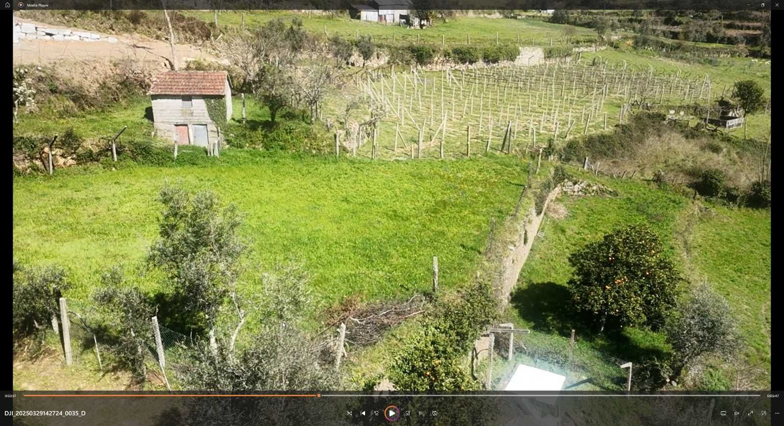 TERRENO COM PALHEIRO EM FORNELOS CINFÃES DO DOURO