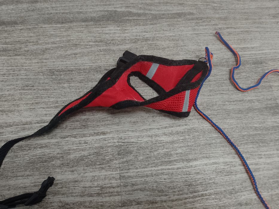 Sprzedam dla kota obrożę i smycz 350 cm.