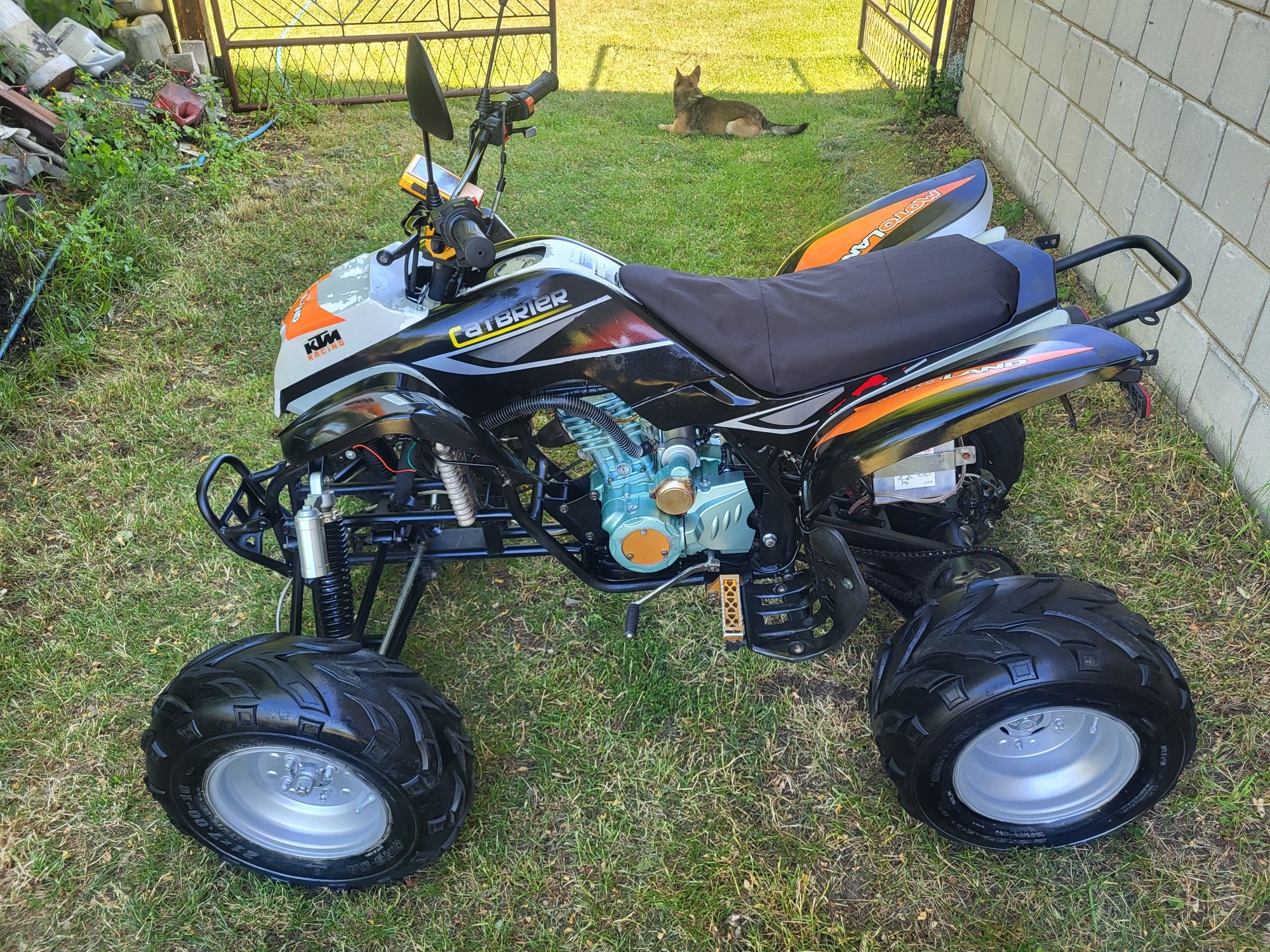 Quad Bashan 250 Manual