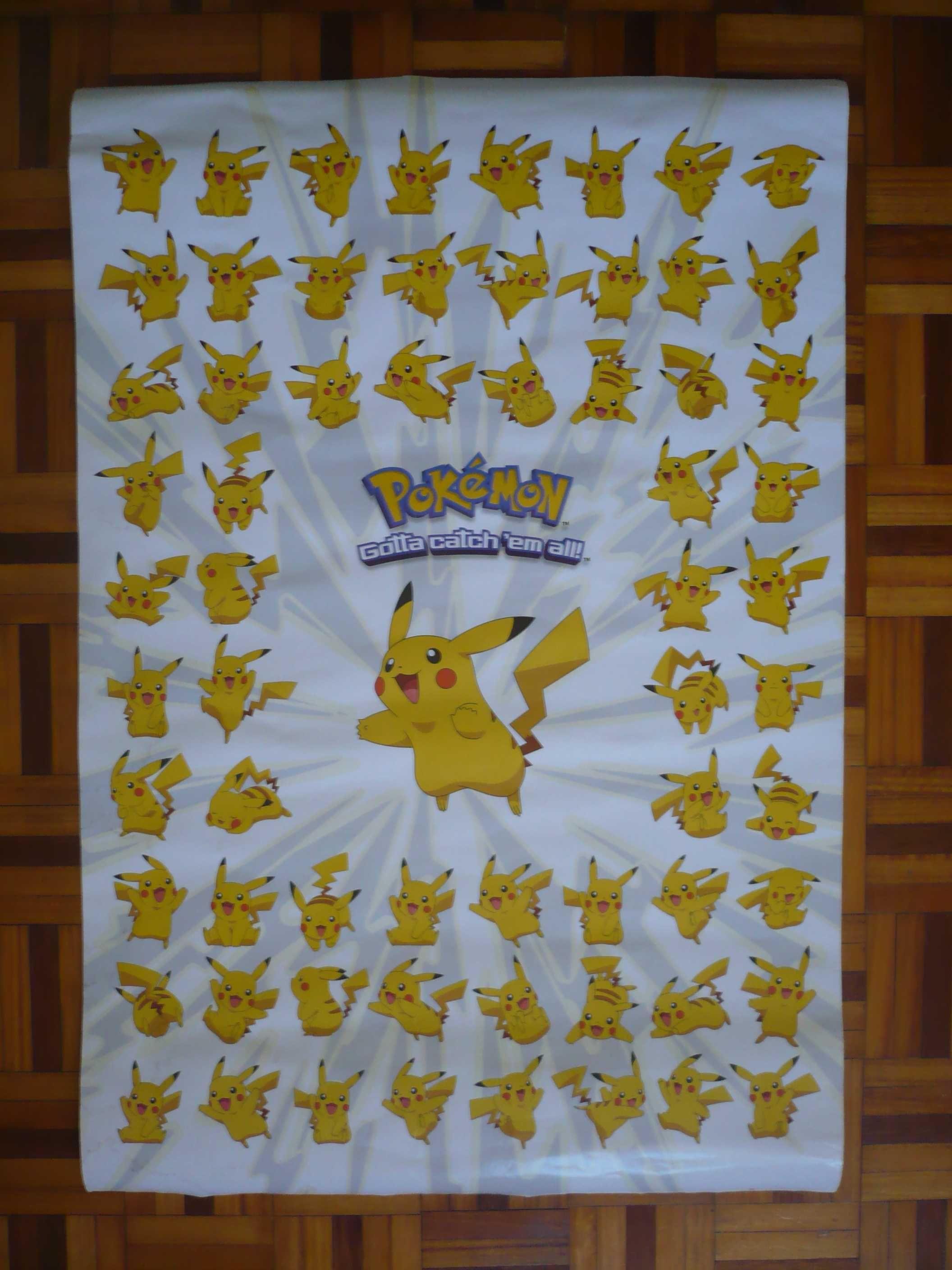 Pokemon gotta catch them all Poster