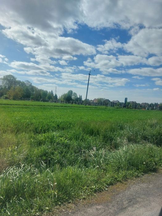 Продаж ,земельна ділянка Вишків