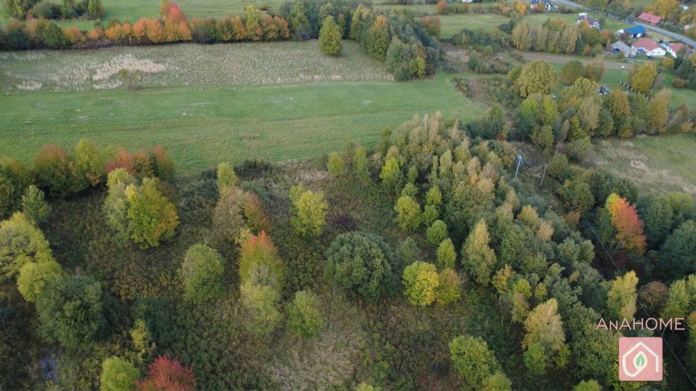 Zainwestuj w Ziemię! 1,28 ha Spokoju w Rozdzielu, gm. Lipinki