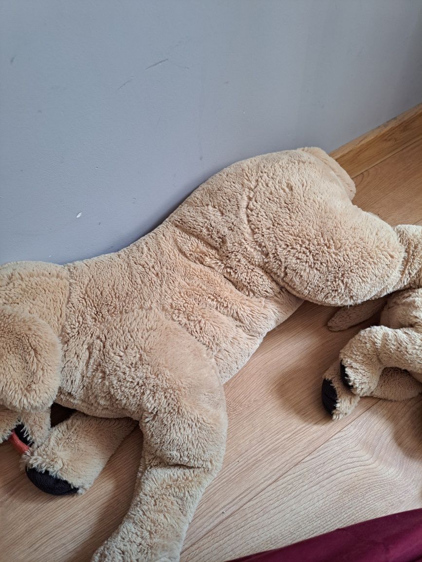 Pieski golden ikea