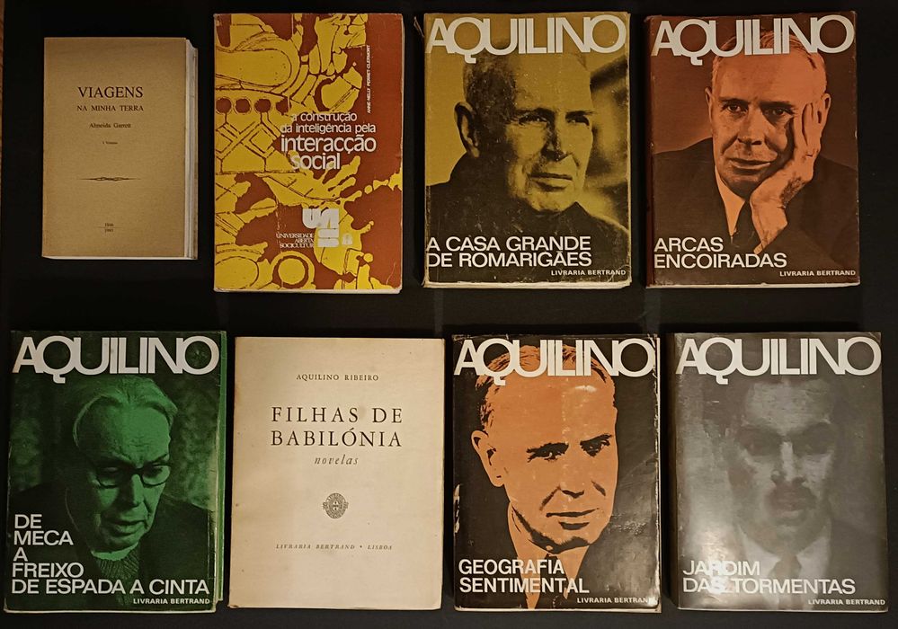 30 livros. Literatura variada. Lote 180€.