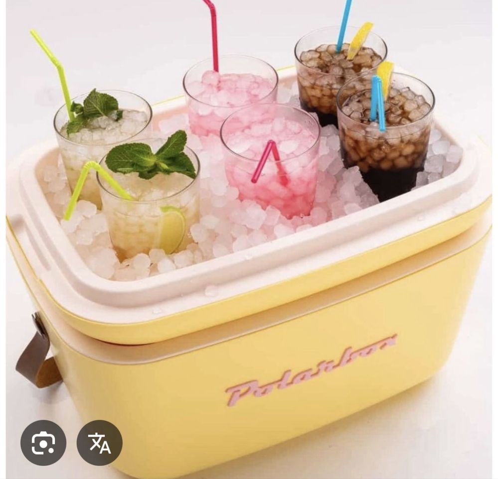 Geleira retro Polarbox