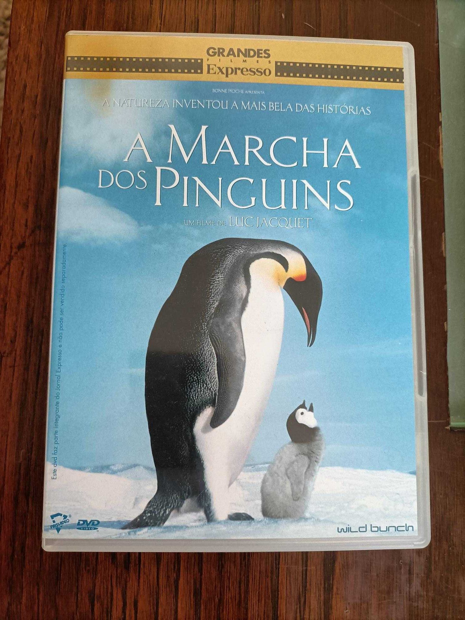 DVD Marcha dos pinguins