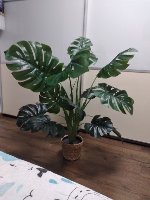 Monstera sztuczna