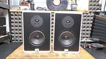 Kolumny Canton GL 300F MONITORY