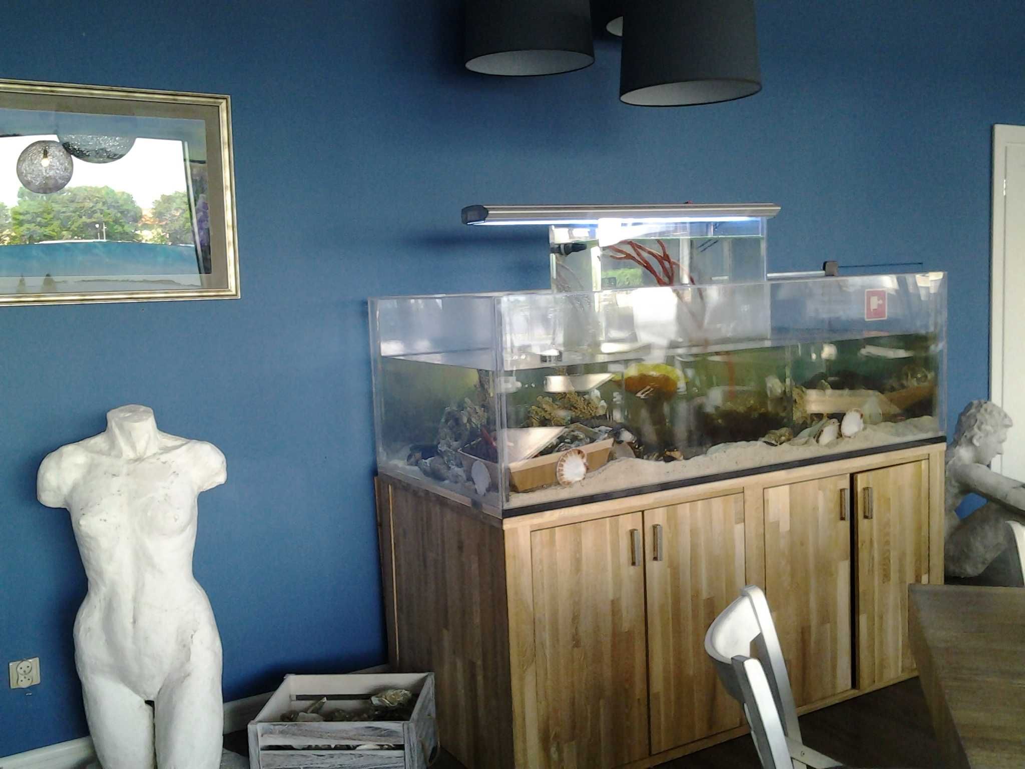 Akwarium morskie 1000L z akrylu z dębową szafką, chłodziarką i firlami