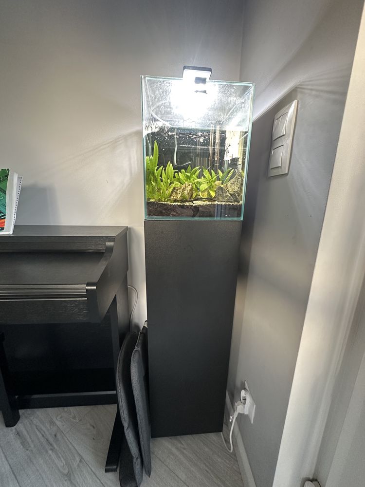 Akwarium Aquael Shrimp Set Day&Night 30 l, szafka i zawartosc