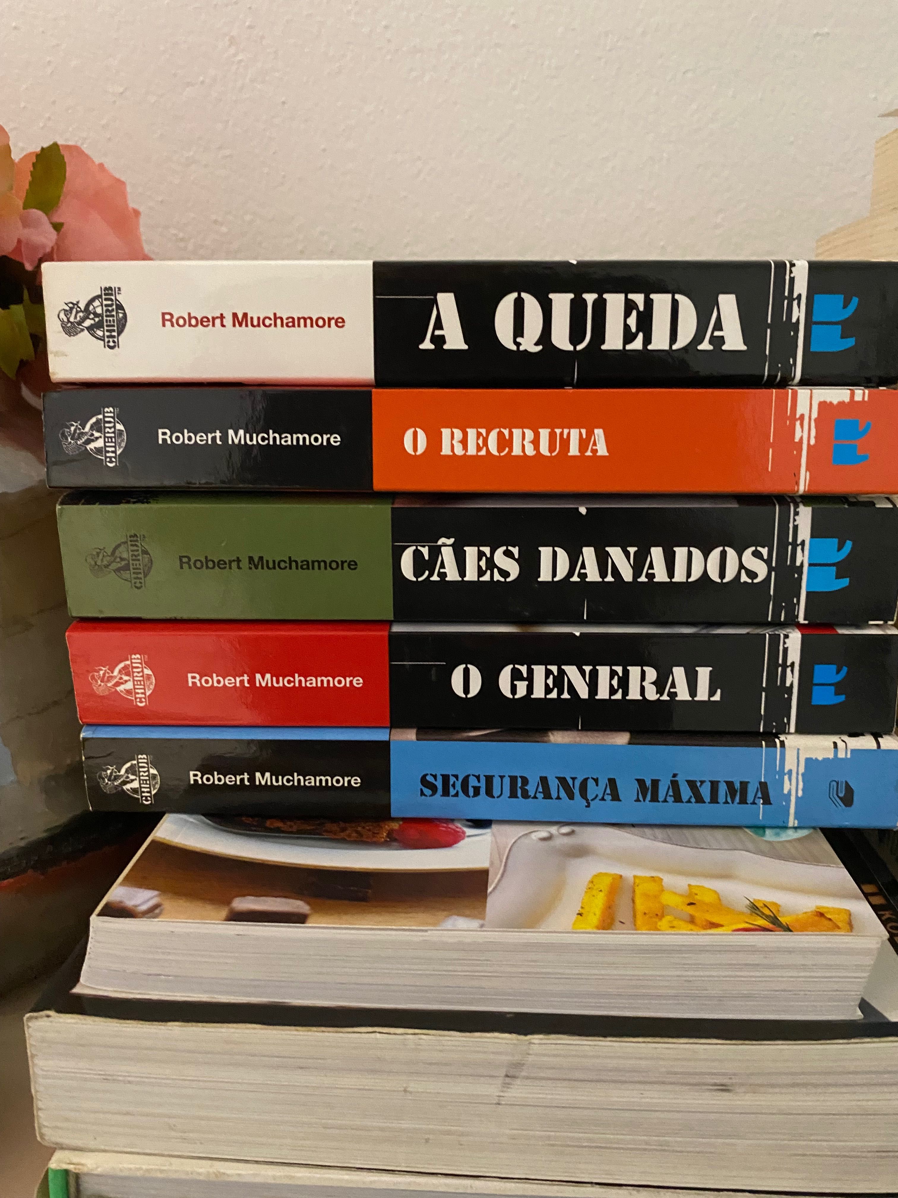 Vendo 11 livros de Robert Muchamore