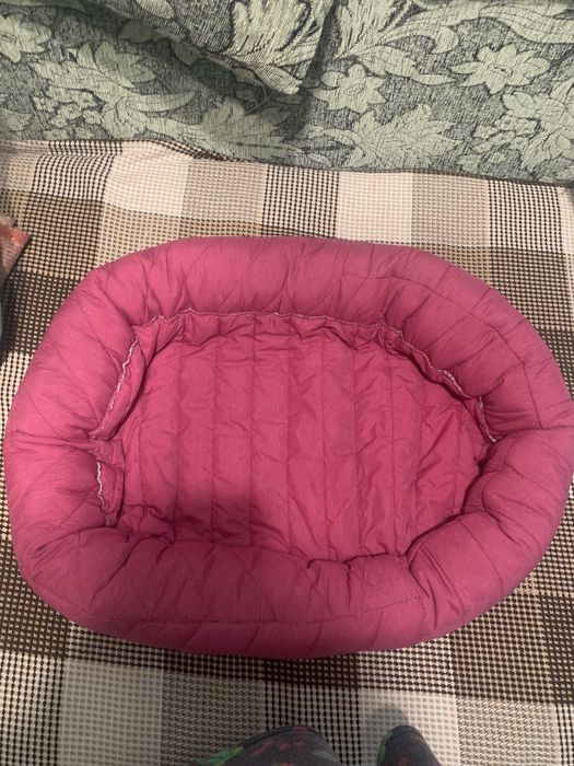 Лежанка для животных