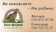 Продаж: яйце інкубаційне, яйце столове, перепілка.