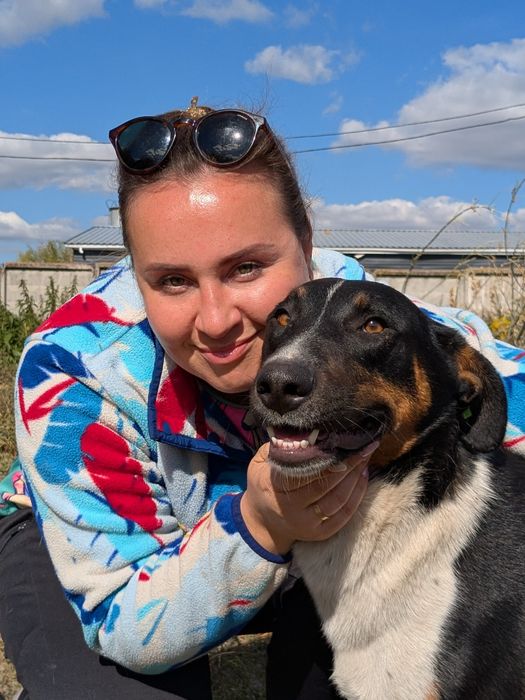 Собака Лінда 30кг, стерилізована шукає родину