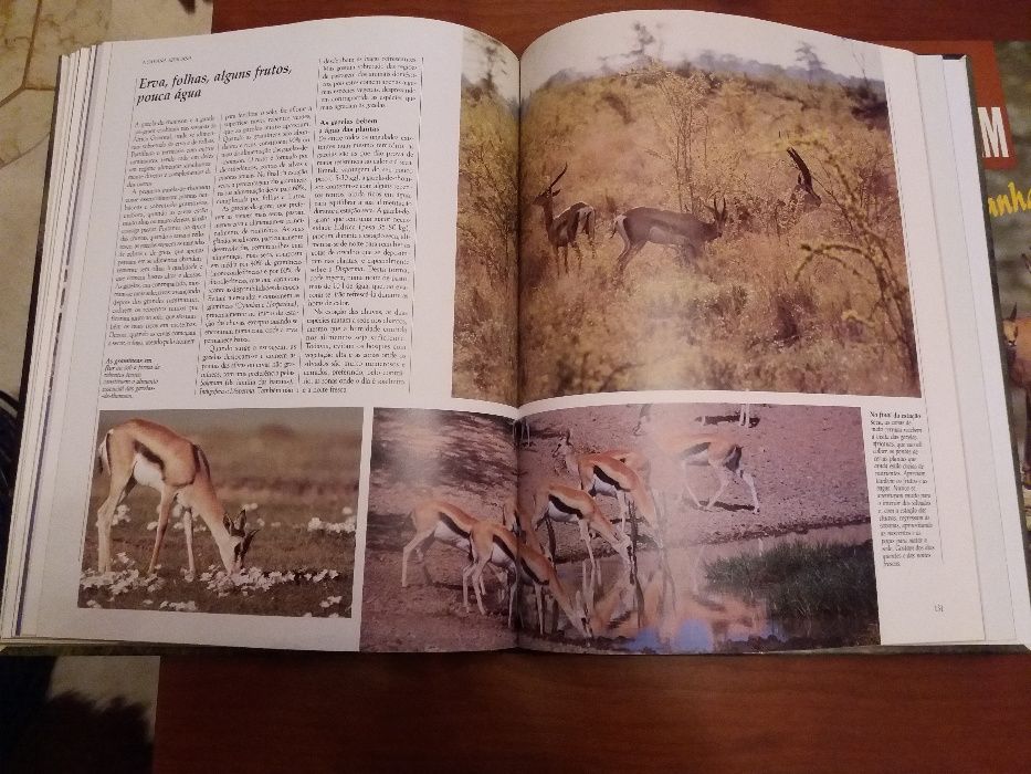 "Vida Selvagem" - 3 Volumes -Seleções