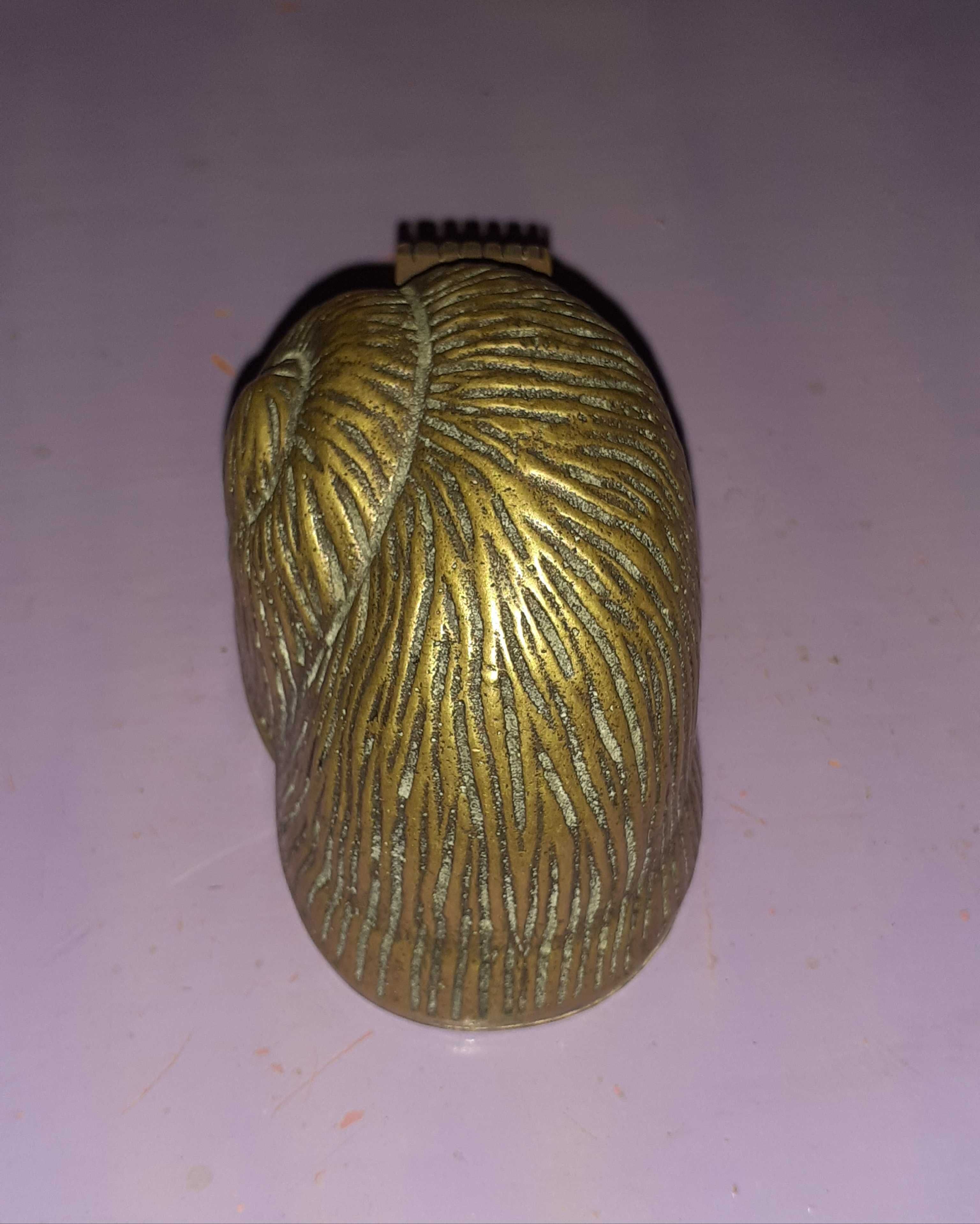 Caracol Bronze Antigo/fita cola