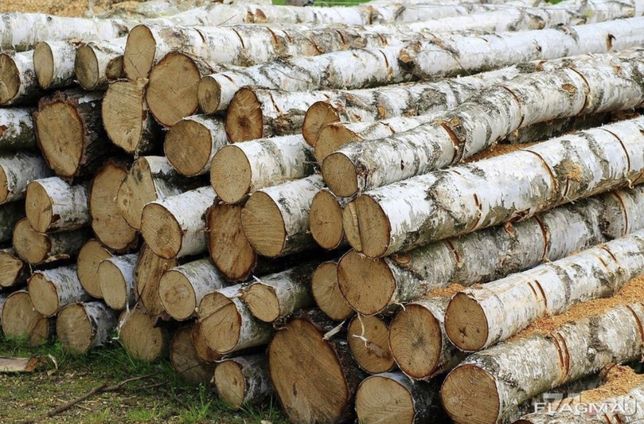 Продам дрова берези