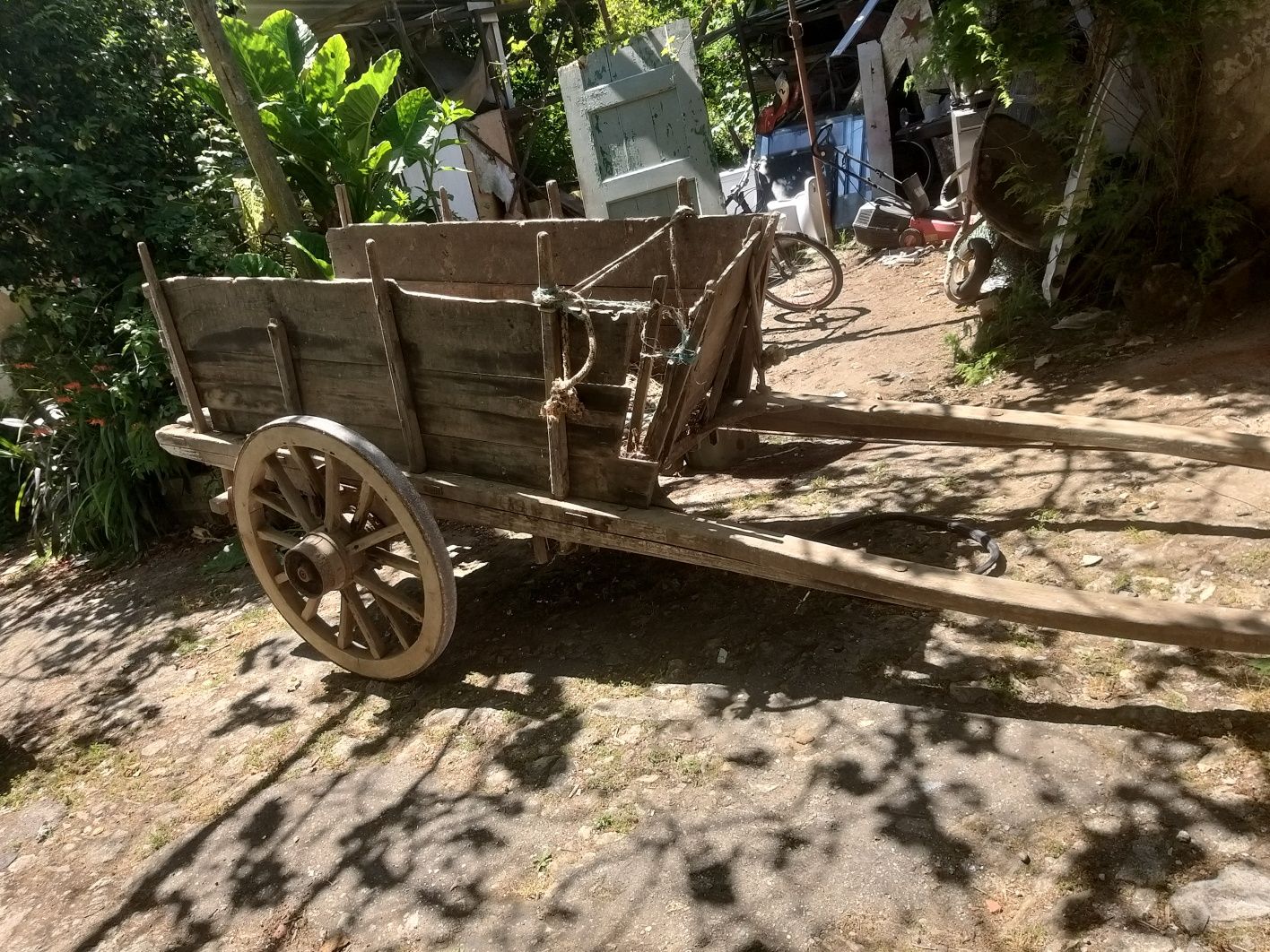 Carrosa antiga de boi