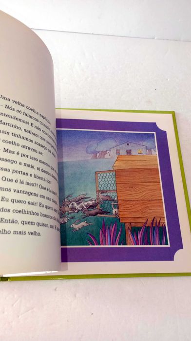 O Coelho Comilão - Bem crescer-Bem Viver