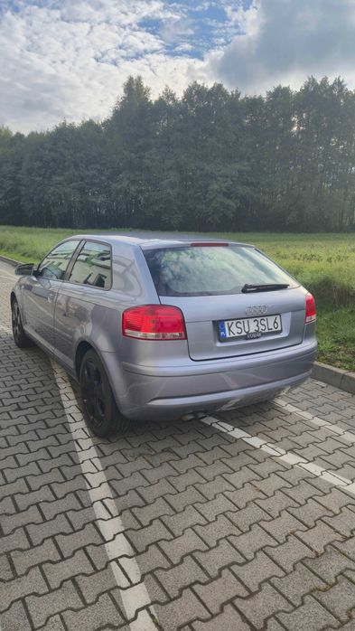 Audi A3 8P 1.9 TDI