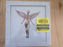 NIRVANA
In Utero (30th anniversary edition) (7LP+10”EP super deluxe)