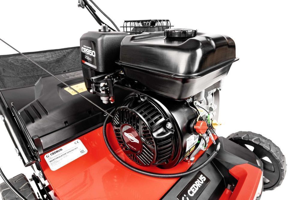 Wertykulator CEDRUS WR01-B Briggs&Stratton 5,5KM + 2 wałki