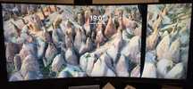 Monitor AOC 34" partido