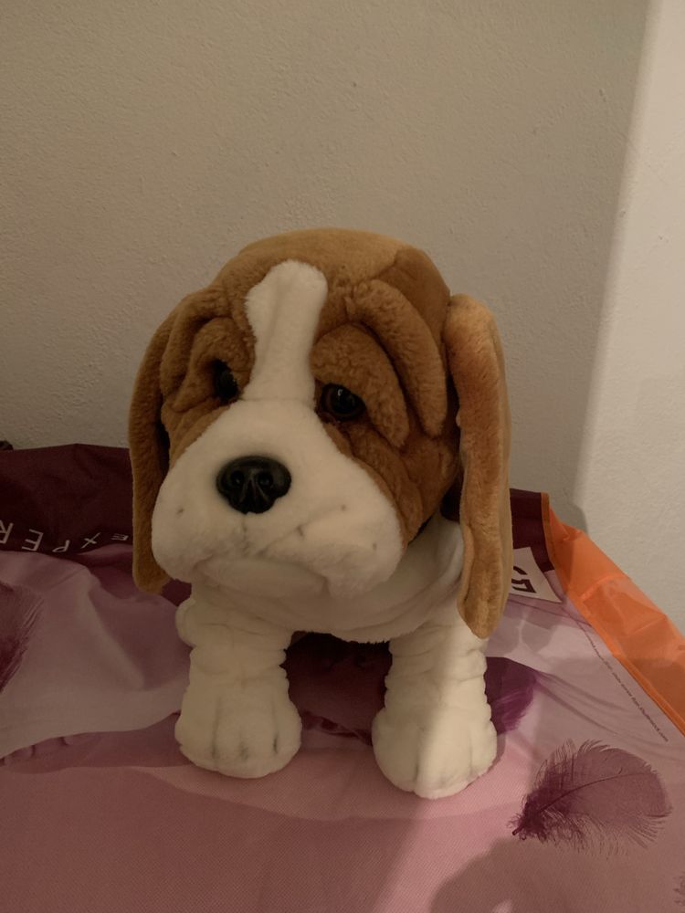 S bernardo peluche  como novo