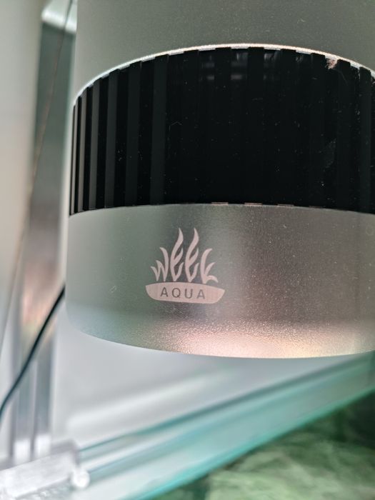 Lâmpada de aquário Week Aqua T70