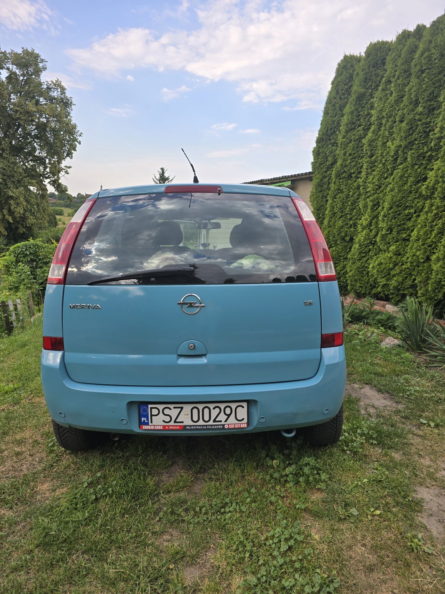Sprzedam  ladnego Oplia