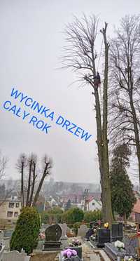 Wycinka drzew ścinka drzew Mikołów Orzesze i okolice +30 km