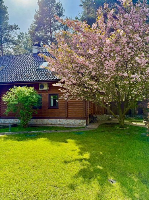 Продаж шикарного будинку серед сосен!Баня,барбекю,18 соток,Лебедівка